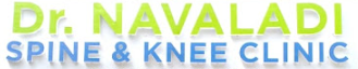 Navaladi Logo